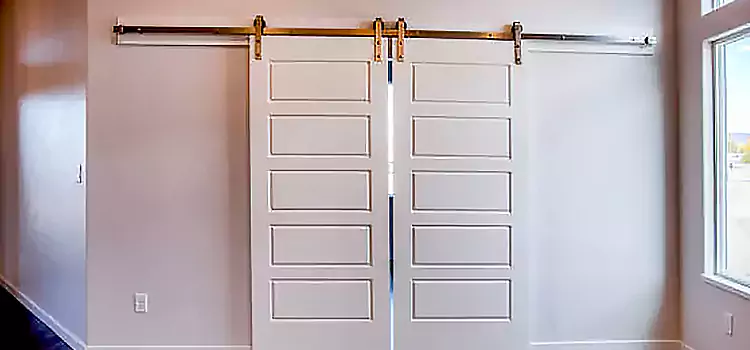 Glass Barn Door with Installation Hardware Kit South Miami Heights