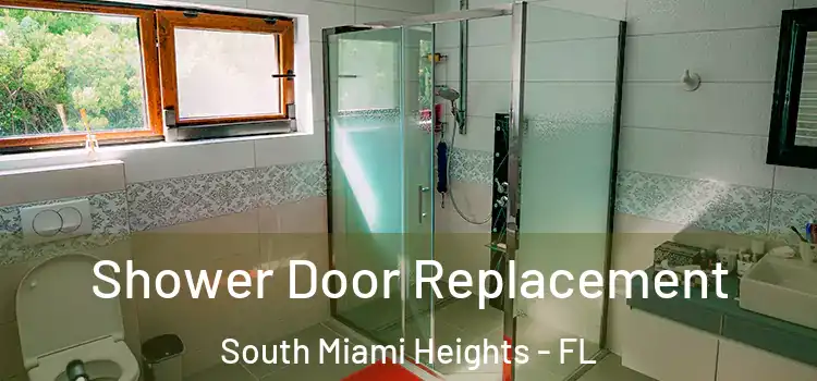 Shower Door Replacement South Miami Heights - FL